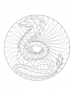 coloriage-a-imprimer-mandala-dragon-2