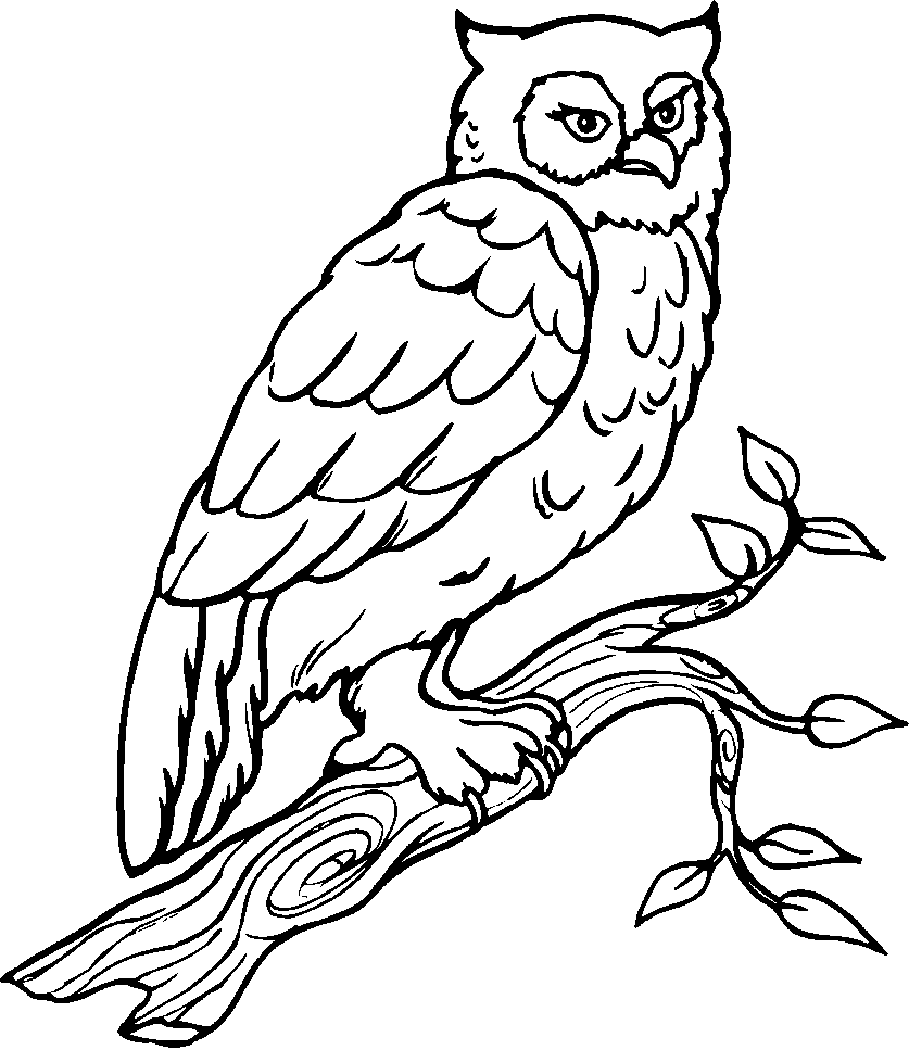 coloriage oiseaux 4