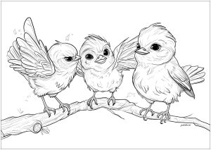 Trois oiseaux rigolo dessinés de manière réaliste sur une branche