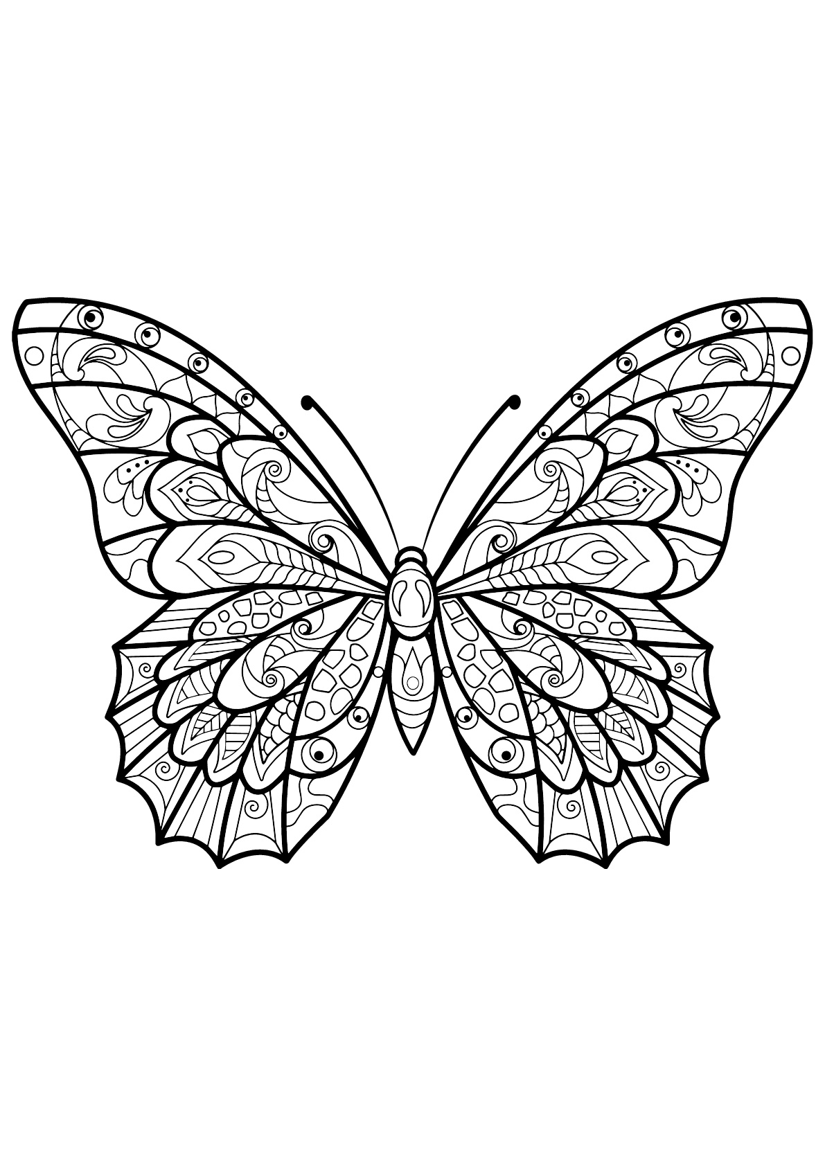 Coloriage De Papillons à Imprimer Coloriage