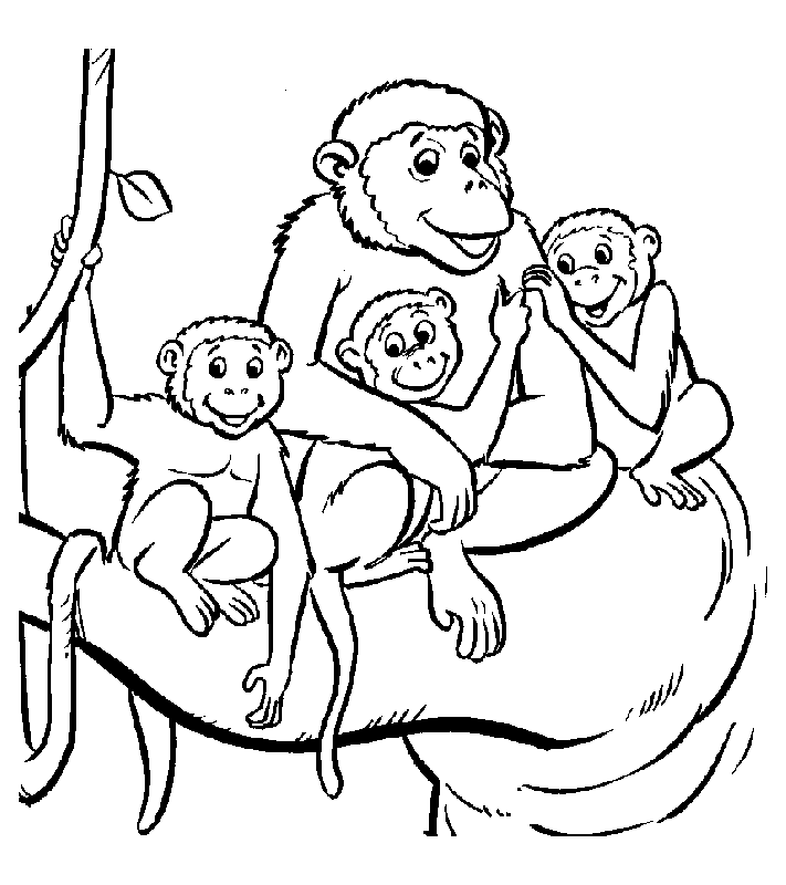 image=singes coloriage singe 12 2