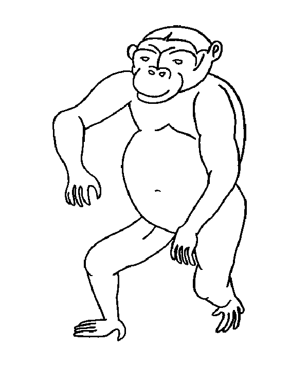Coloriage De Singe A Imprimer Pour Enfants Coloriage De Singes Coloriages Pour Enfants