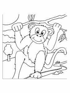 Coloriage de singe à colorier pour enfants