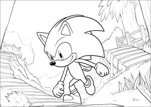 Sonic en pleine aventure