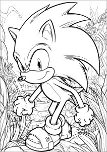 Coloriage de Sonic avec fond fleuri