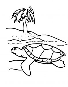 Coloriage de tortue à imprimer gratuitement
