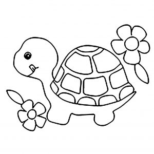 Coloriage de tortue à colorier pour enfants