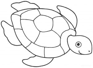 Coloriage de tortue à imprimer