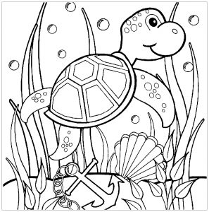 Dessin de tortue gratuit à imprimer et colorier