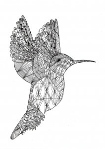 Coloriage colibri par chloe